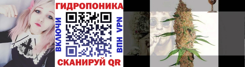 Канабис семена Переславль-Залесский